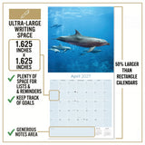 Dolphins Wall Calendar 2027 - 12" x 12" Monthly Breathtaking Ocean Dolphins & Marine Life Scenery Calendar