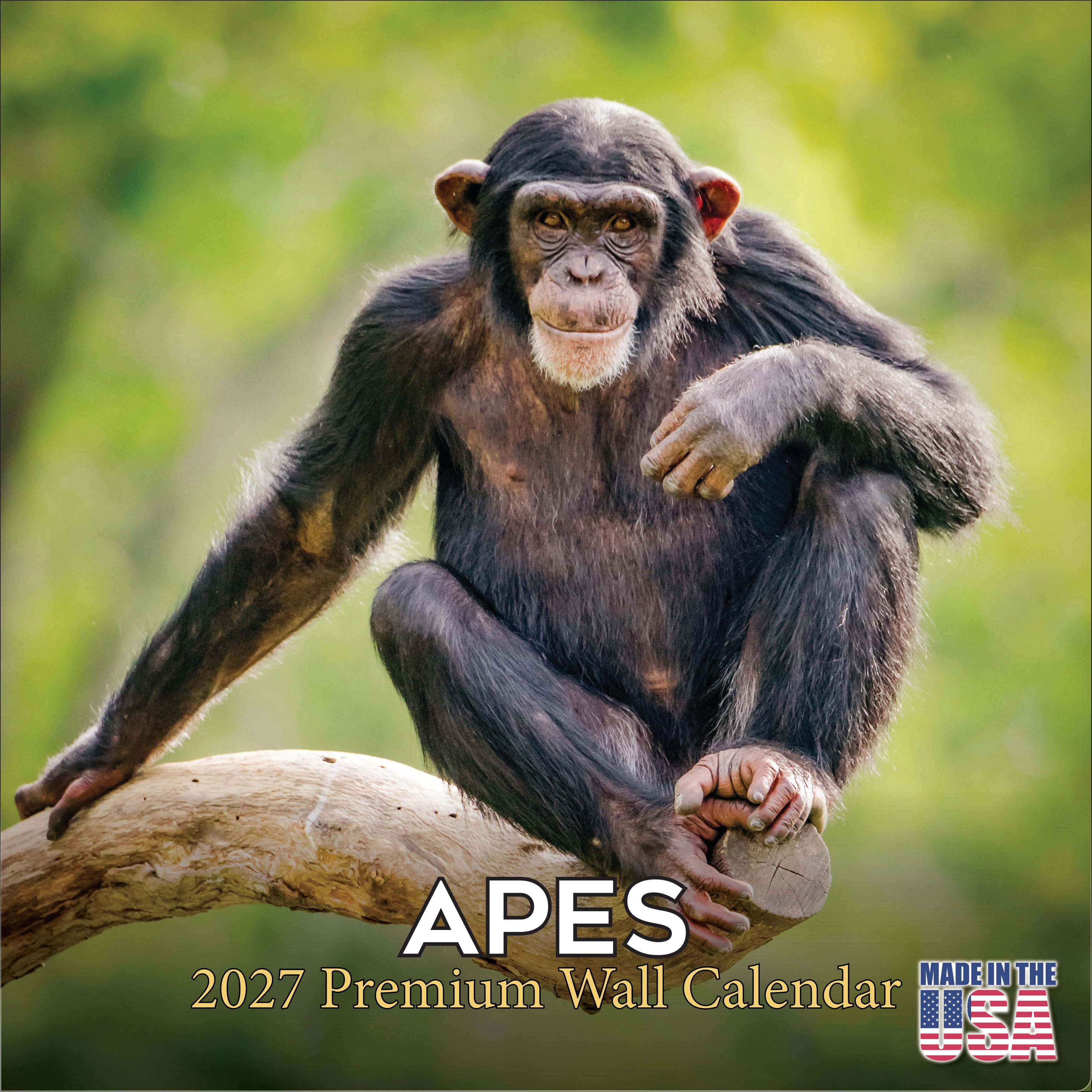Apes Wall Calendar 2027 - 12