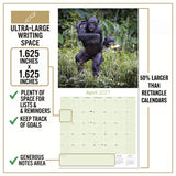 Apes Wall Calendar 2027 - 12" x 12" Monthly Wild Primate & Majestic Chimpanzee Nature Calendar