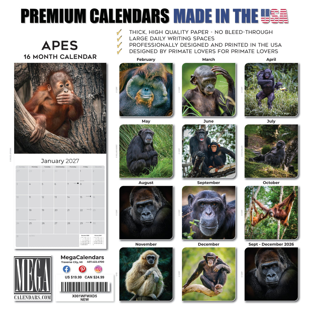 Apes Wall Calendar 2027 - 12" x 12" Monthly Wild Primate & Majestic Chimpanzee Nature Calendar