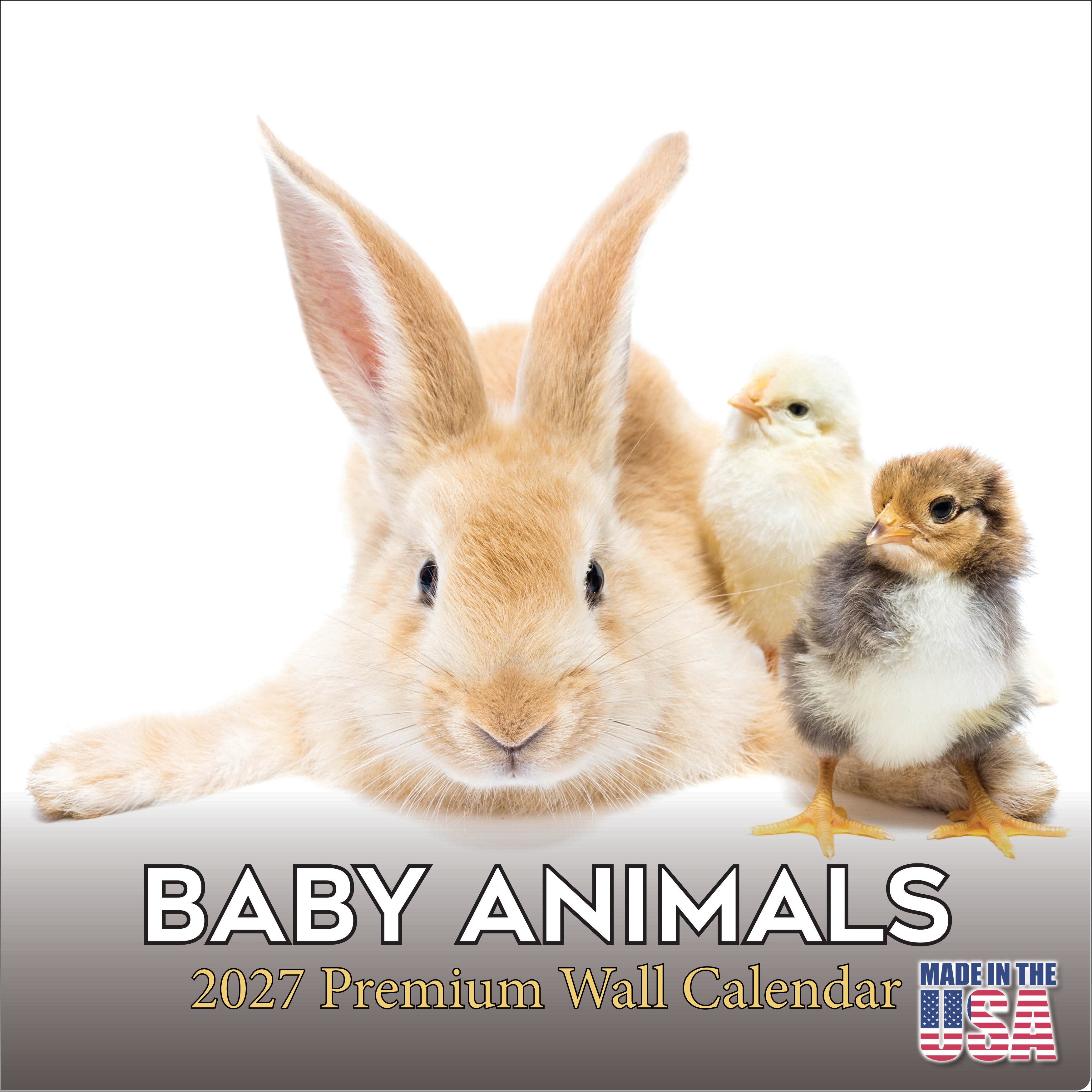 Baby Animals Wall Calendar 2027 - 12