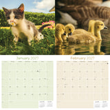 Baby Animals Wall Calendar 2027 - 12" x 12" Monthly Heartwarming & Playful Cute Wildlife Calendar