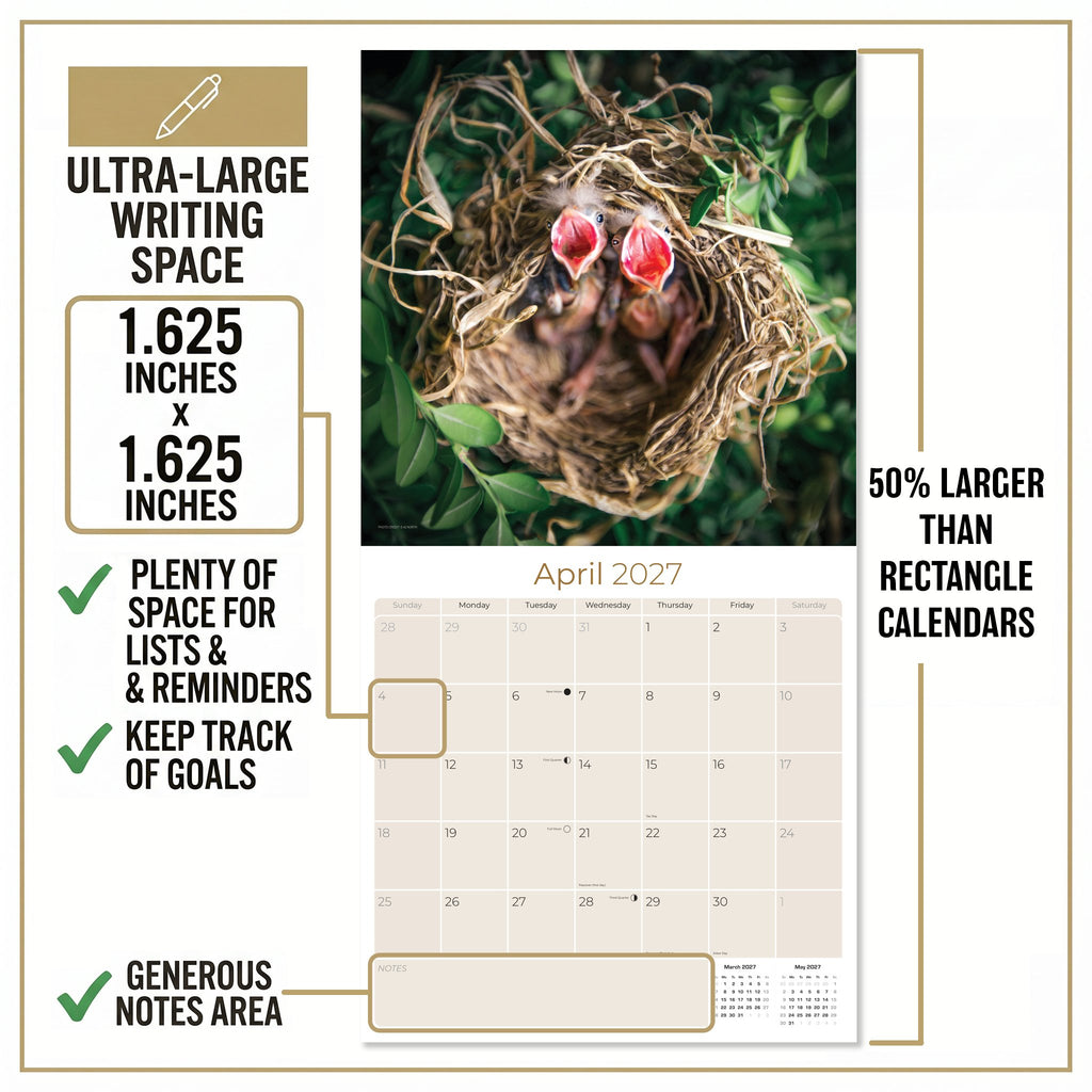 Baby Animals Wall Calendar 2027 - 12" x 12" Monthly Heartwarming & Playful Cute Wildlife Calendar
