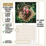 Baby Animals Wall Calendar 2027 - 12" x 12" Monthly Heartwarming & Playful Cute Wildlife Calendar