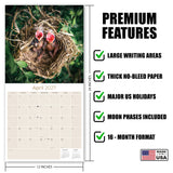 Baby Animals Wall Calendar 2027 - 12" x 12" Monthly Heartwarming & Playful Cute Wildlife Calendar