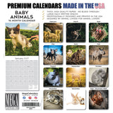 Baby Animals Wall Calendar 2027 - 12" x 12" Monthly Heartwarming & Playful Cute Wildlife Calendar