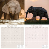 Elephants Wall Calendar 2027 - 12" x 12" Monthly Majestic African Elephants & Wild Herd Nature Calendar
