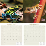 Frogs Wall Calendar 2027 - 12" x 12" Monthly Colorful Exotic Tree Frogs Amphibian Nature Calendar