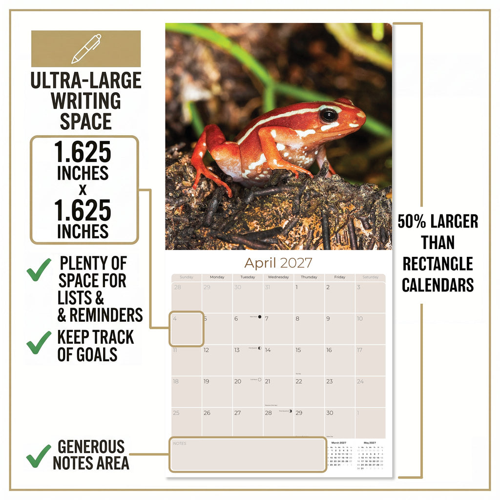 Frogs Wall Calendar 2027 - 12" x 12" Monthly Colorful Exotic Tree Frogs Amphibian Nature Calendar
