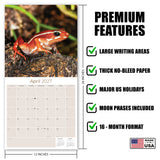Frogs Wall Calendar 2027 - 12" x 12" Monthly Colorful Exotic Tree Frogs Amphibian Nature Calendar