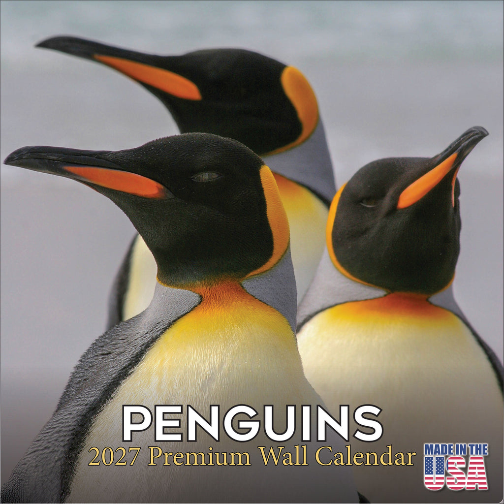 Penguins Wall Calendar 2027 - 12" x 12" Monthly Resilient Antarctic Wildlife & Playful Pod Calendar