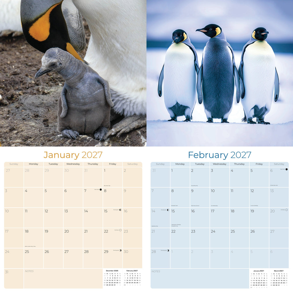 Penguins Wall Calendar 2027 - 12" x 12" Monthly Resilient Antarctic Wildlife & Playful Pod Calendar