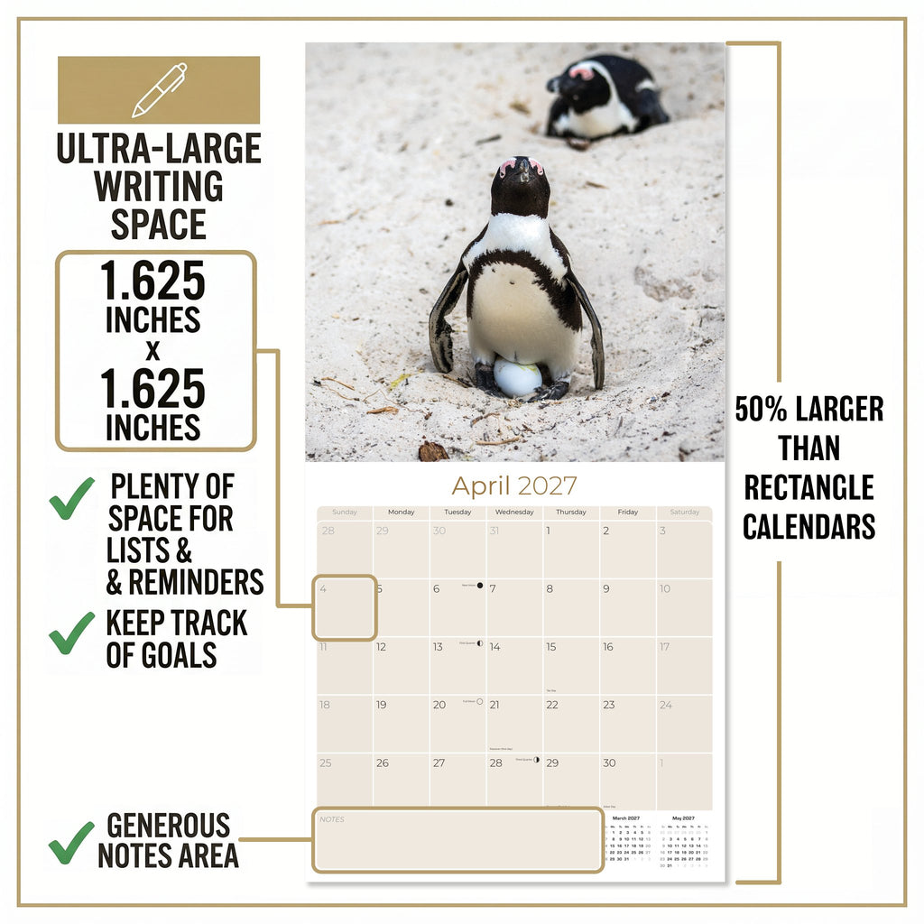 Penguins Wall Calendar 2027 - 12" x 12" Monthly Resilient Antarctic Wildlife & Playful Pod Calendar