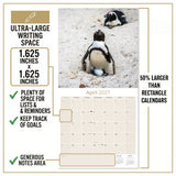 Penguins Wall Calendar 2027 - 12" x 12" Monthly Resilient Antarctic Wildlife & Playful Pod Calendar
