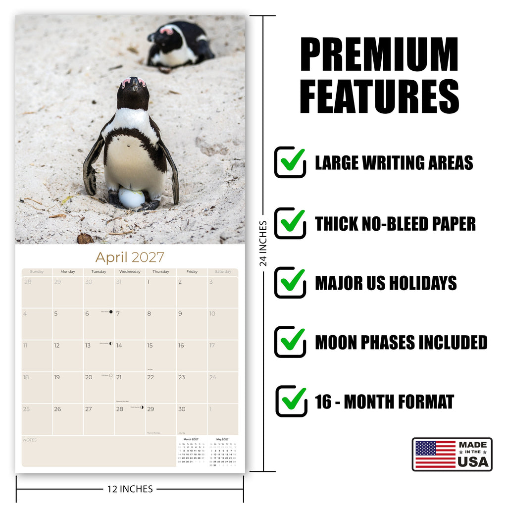 Penguins Wall Calendar 2027 - 12" x 12" Monthly Resilient Antarctic Wildlife & Playful Pod Calendar