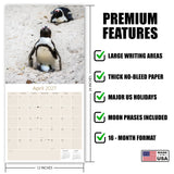 Penguins Wall Calendar 2027 - 12" x 12" Monthly Resilient Antarctic Wildlife & Playful Pod Calendar