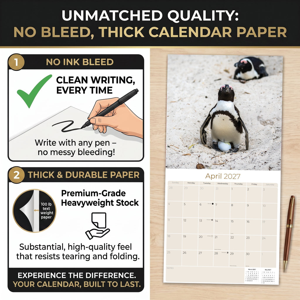 Penguins Wall Calendar 2027 - 12" x 12" Monthly Resilient Antarctic Wildlife & Playful Pod Calendar