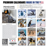 Penguins Wall Calendar 2027 - 12" x 12" Monthly Resilient Antarctic Wildlife & Playful Pod Calendar