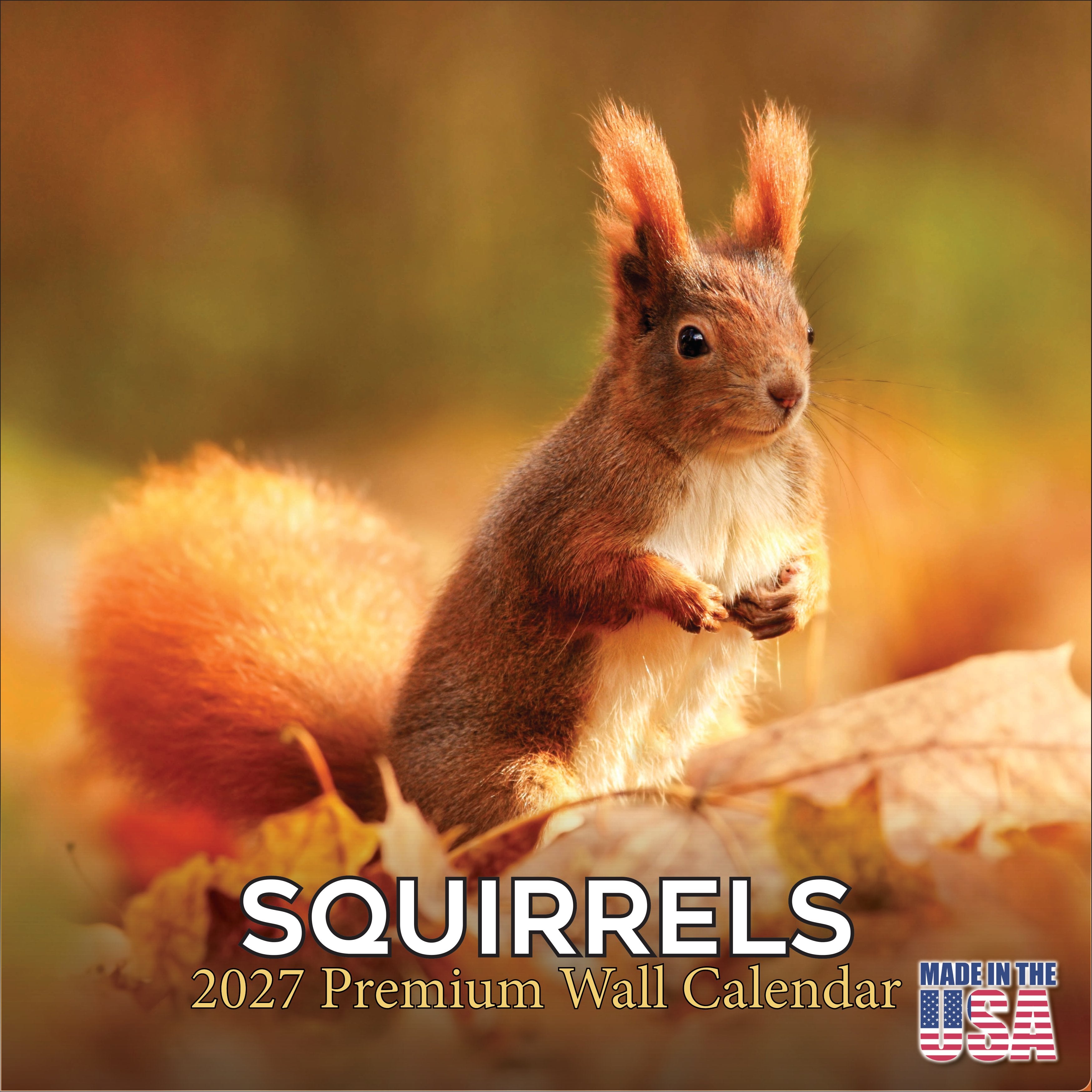 Squirrels Wall Calendar 2027 - 12