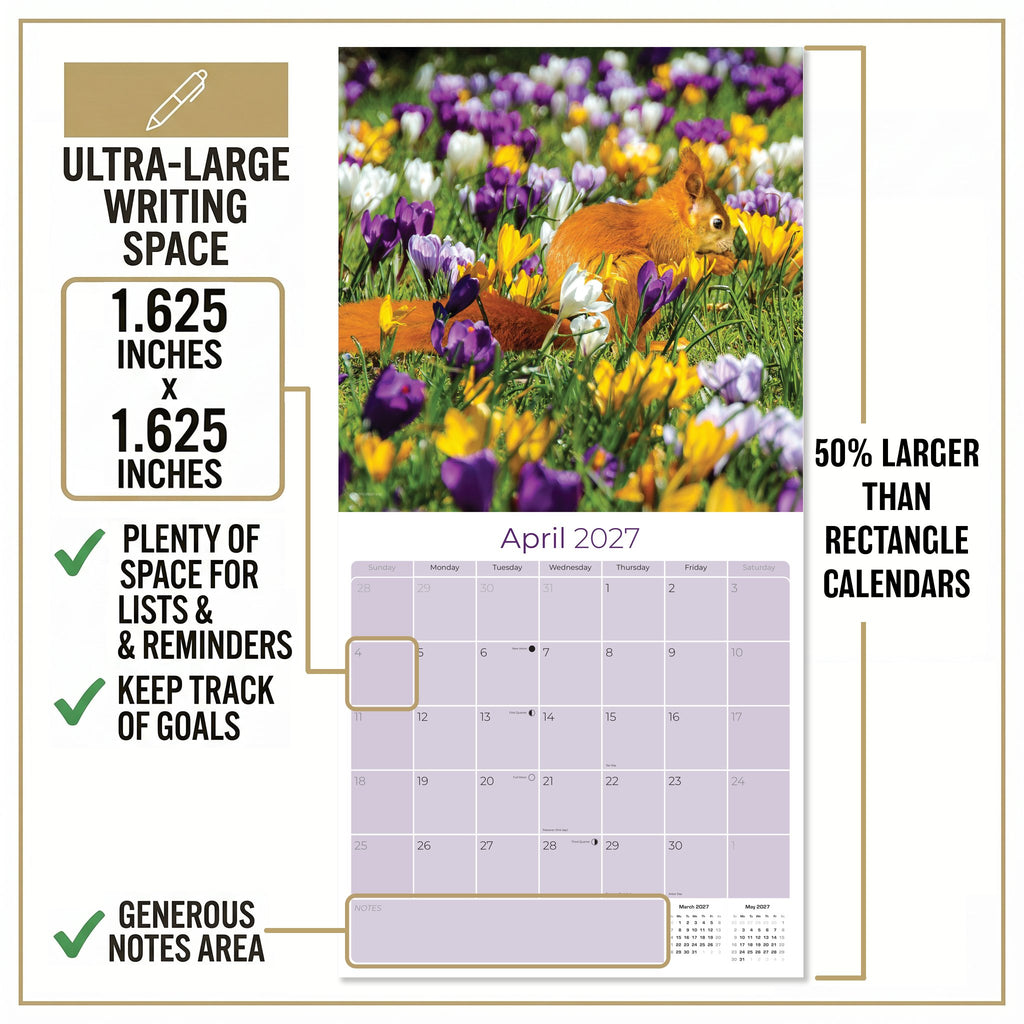 Squirrels Wall Calendar 2027 - 12" x 12" Monthly Playful & Energetic Backyard Wildlife Nature Calendar