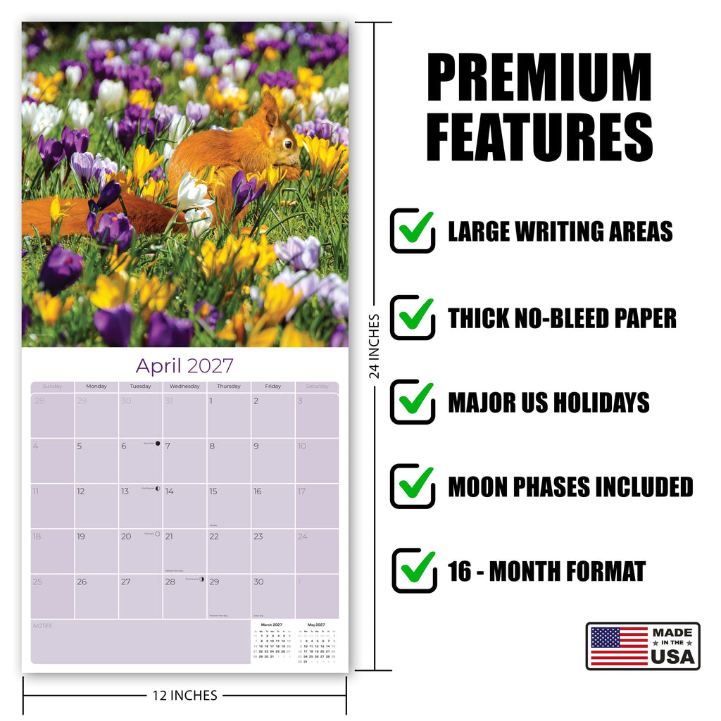 Squirrels Wall Calendar 2027 - 12" x 12" Monthly Playful & Energetic Backyard Wildlife Nature Calendar