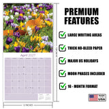 Squirrels Wall Calendar 2027 - 12" x 12" Monthly Playful & Energetic Backyard Wildlife Nature Calendar