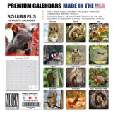 Squirrels Wall Calendar 2027 - 12" x 12" Monthly Playful & Energetic Backyard Wildlife Nature Calendar