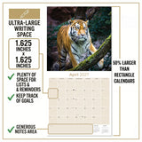 Tigers Wall Calendar 2027 - 12" x 12" Monthly Majestic & Powerful Big Cat Wildlife Nature Calendar