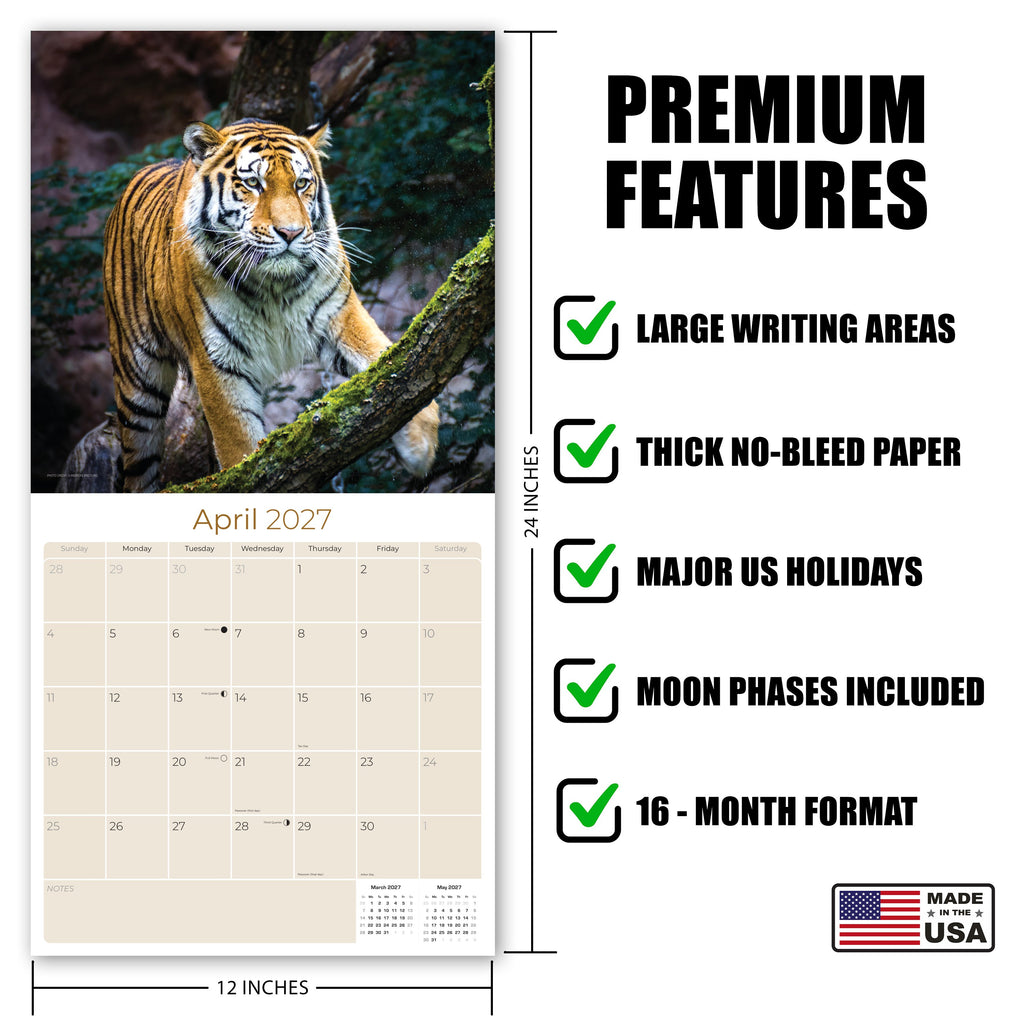 Tigers Wall Calendar 2027 - 12" x 12" Monthly Majestic & Powerful Big Cat Wildlife Nature Calendar