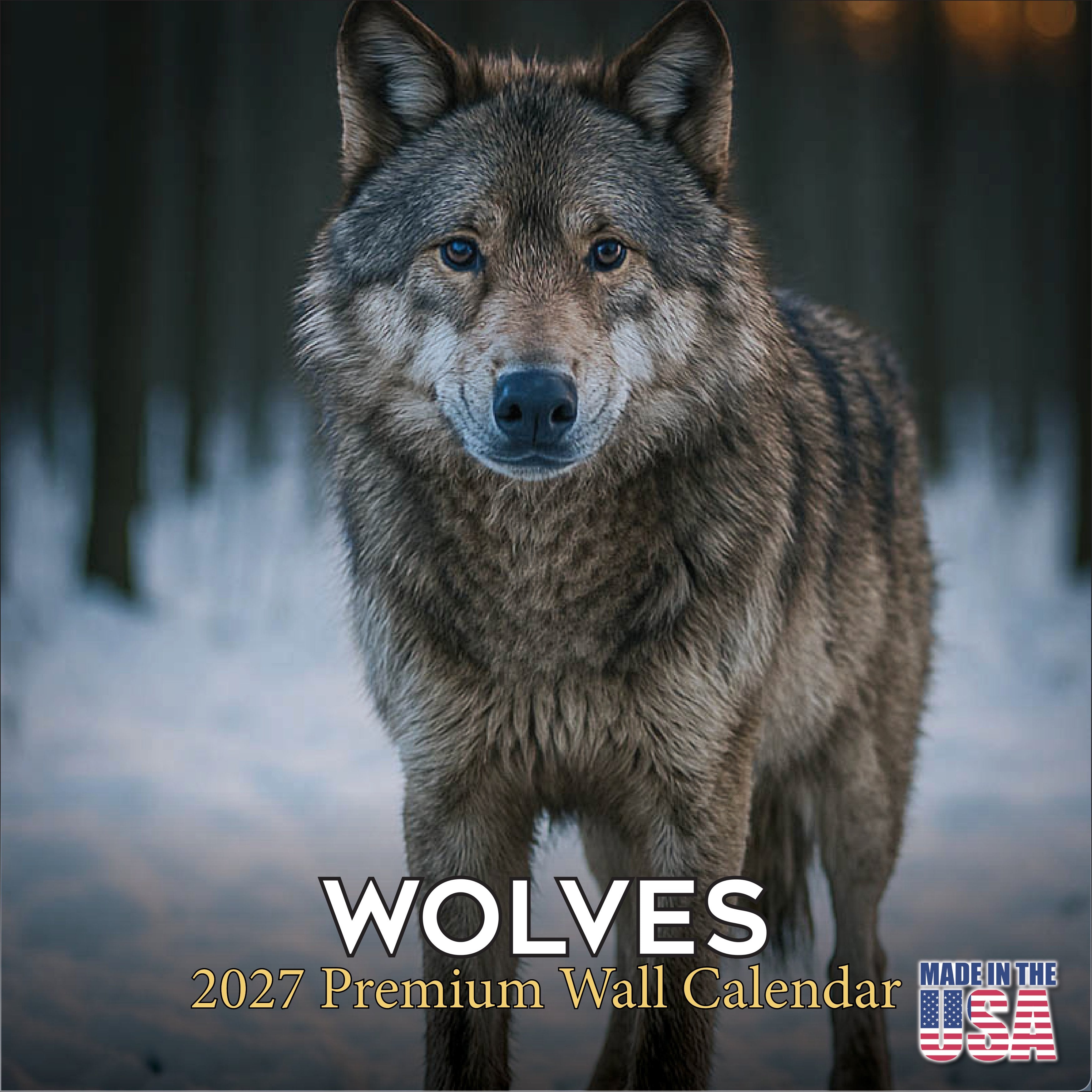 Wolves Wall Calendar 2027 - 12