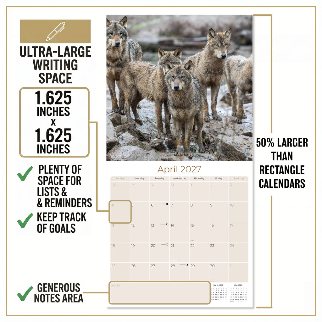Wolves Wall Calendar 2027 - 12" x 12" Monthly Majestic & Powerful Wild Wolf Wildlife Nature Calendar