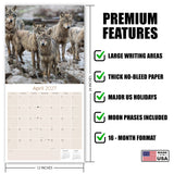 Wolves Wall Calendar 2027 - 12" x 12" Monthly Majestic & Powerful Wild Wolf Wildlife Nature Calendar