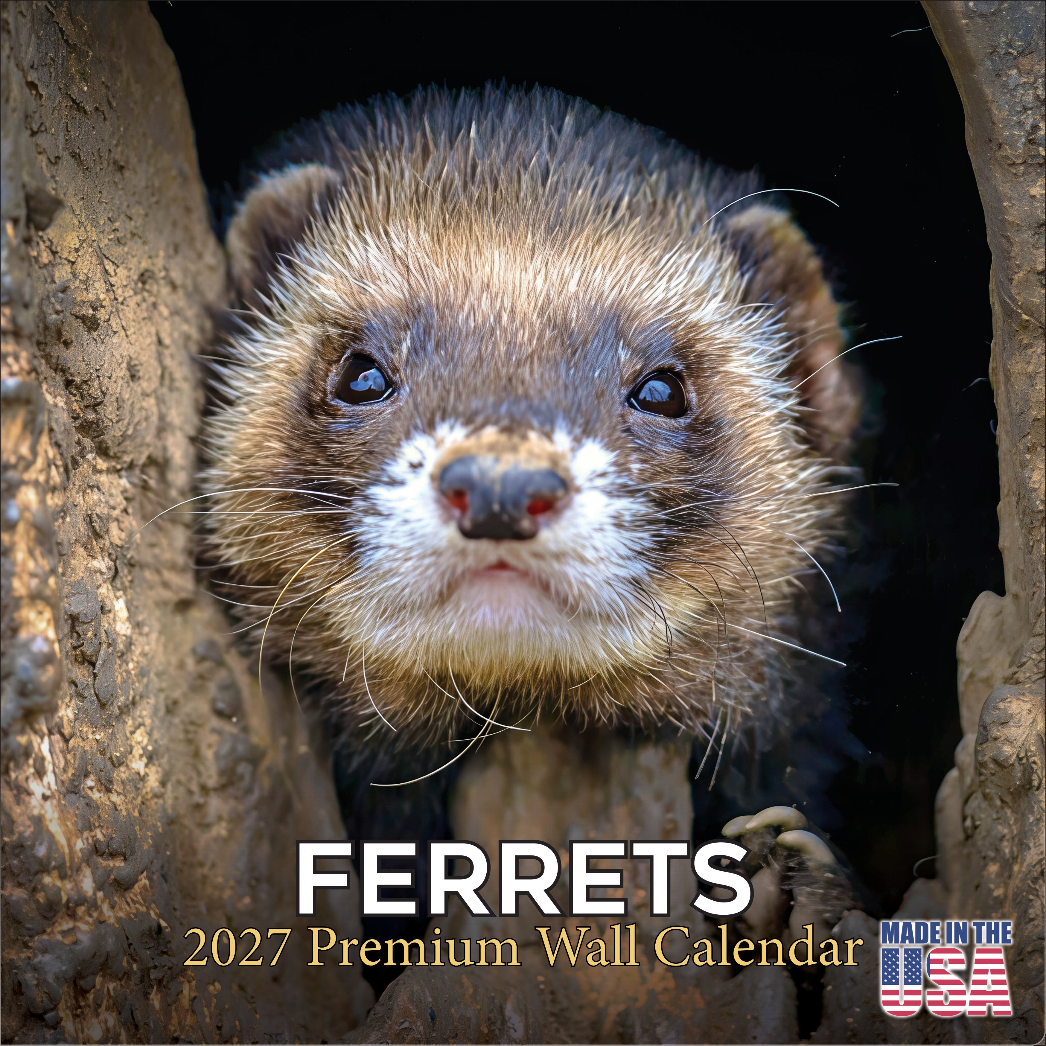 Ferrets Wall Calendar 2027 - 12