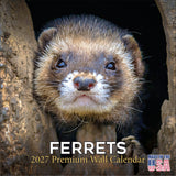 Ferrets Wall Calendar 2027 - 12" x 12" Monthly Playful & Mischievous Domestic Ferret Pet Calendar