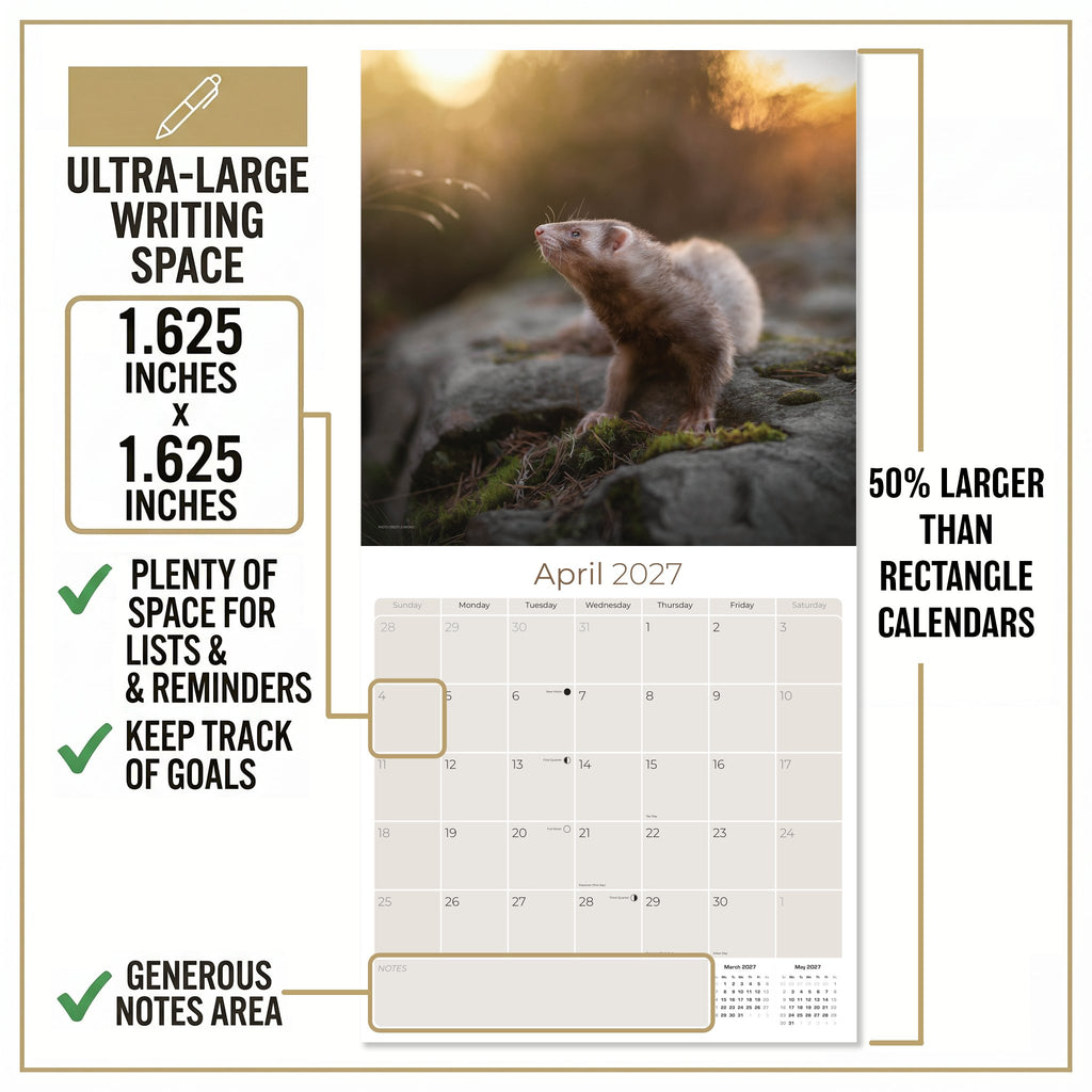 Ferrets Wall Calendar 2027 - 12" x 12" Monthly Playful & Mischievous Domestic Ferret Pet Calendar