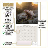 Ferrets Wall Calendar 2027 - 12" x 12" Monthly Playful & Mischievous Domestic Ferret Pet Calendar
