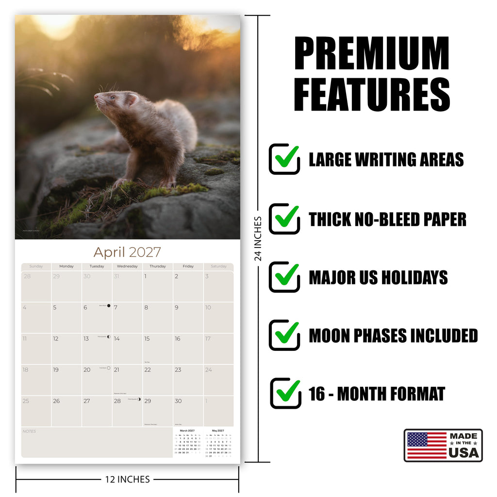 Ferrets Wall Calendar 2027 - 12" x 12" Monthly Playful & Mischievous Domestic Ferret Pet Calendar