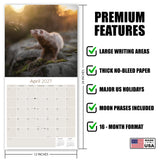 Ferrets Wall Calendar 2027 - 12" x 12" Monthly Playful & Mischievous Domestic Ferret Pet Calendar