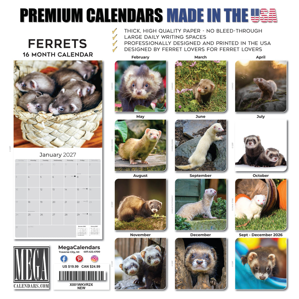 Ferrets Wall Calendar 2027 - 12" x 12" Monthly Playful & Mischievous Domestic Ferret Pet Calendar