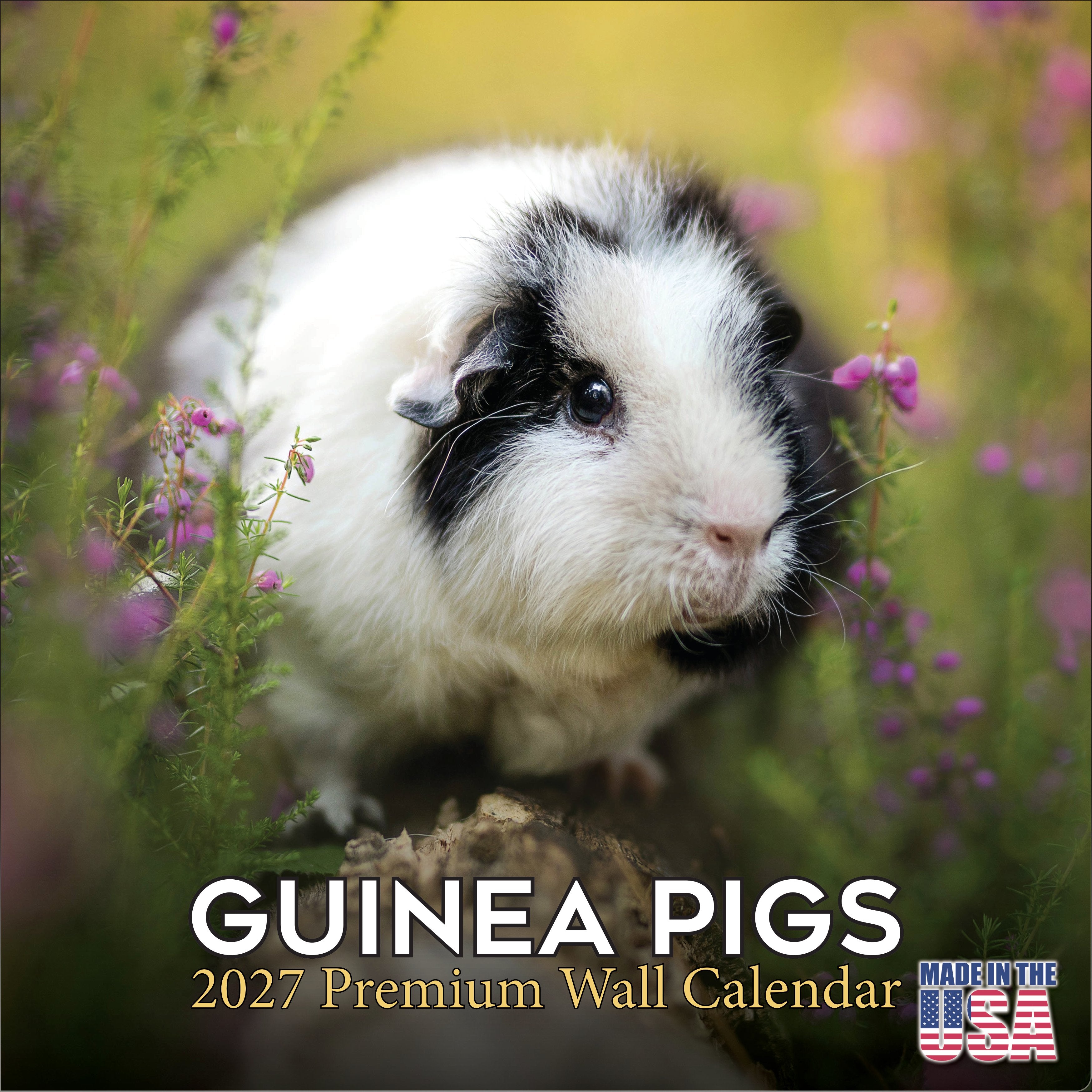 Guinea Pigs Wall Calendar 2027 - 12