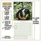 Guinea Pigs Wall Calendar 2027 - 12" x 12" Monthly Cuddly Pets & Small Cavy Companion Calendar