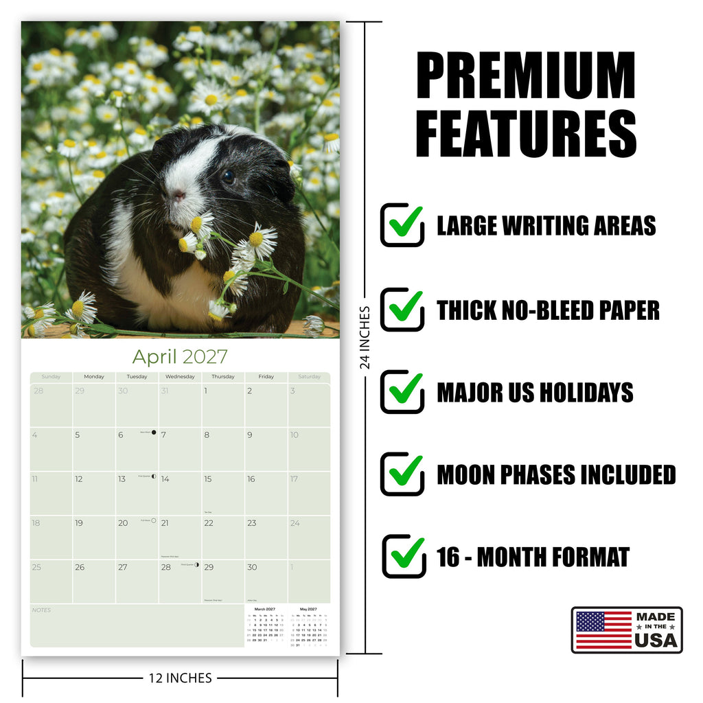Guinea Pigs Wall Calendar 2027 - 12" x 12" Monthly Cuddly Pets & Small Cavy Companion Calendar