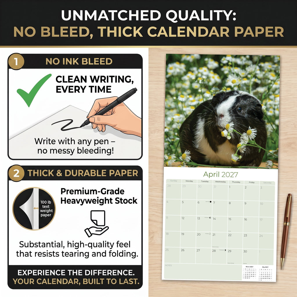 Guinea Pigs Wall Calendar 2027 - 12" x 12" Monthly Cuddly Pets & Small Cavy Companion Calendar