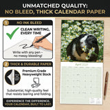 Guinea Pigs Wall Calendar 2027 - 12" x 12" Monthly Cuddly Pets & Small Cavy Companion Calendar