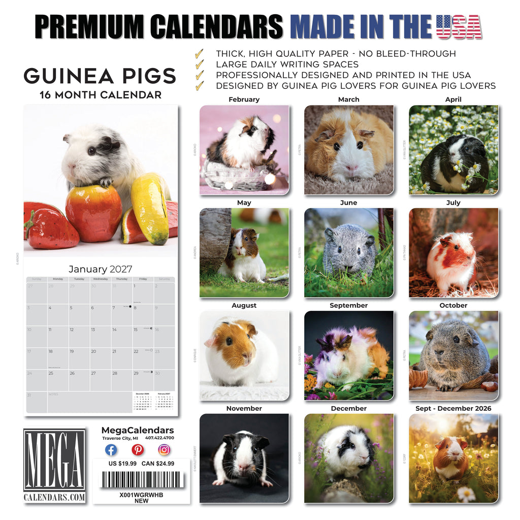 Guinea Pigs Wall Calendar 2027 - 12" x 12" Monthly Cuddly Pets & Small Cavy Companion Calendar