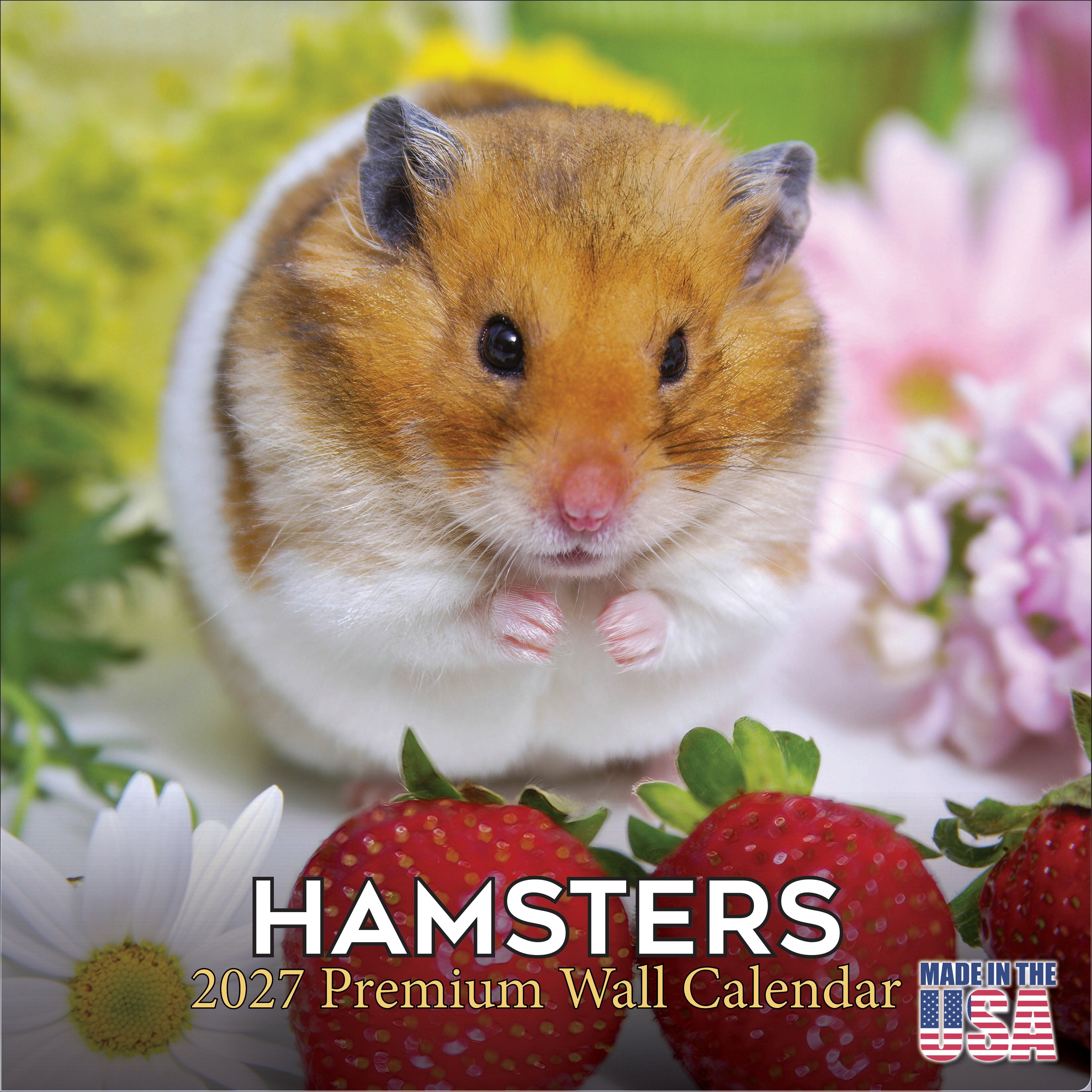 Hamsters Wall Calendar 2027 - 12