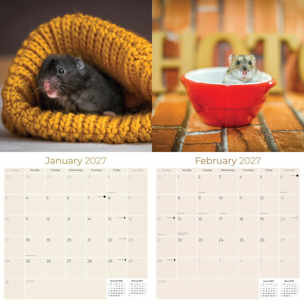 Hamsters Wall Calendar 2027 - 12" x 12" Monthly Cute Rodents & Precocious Pocket Pet Calendar