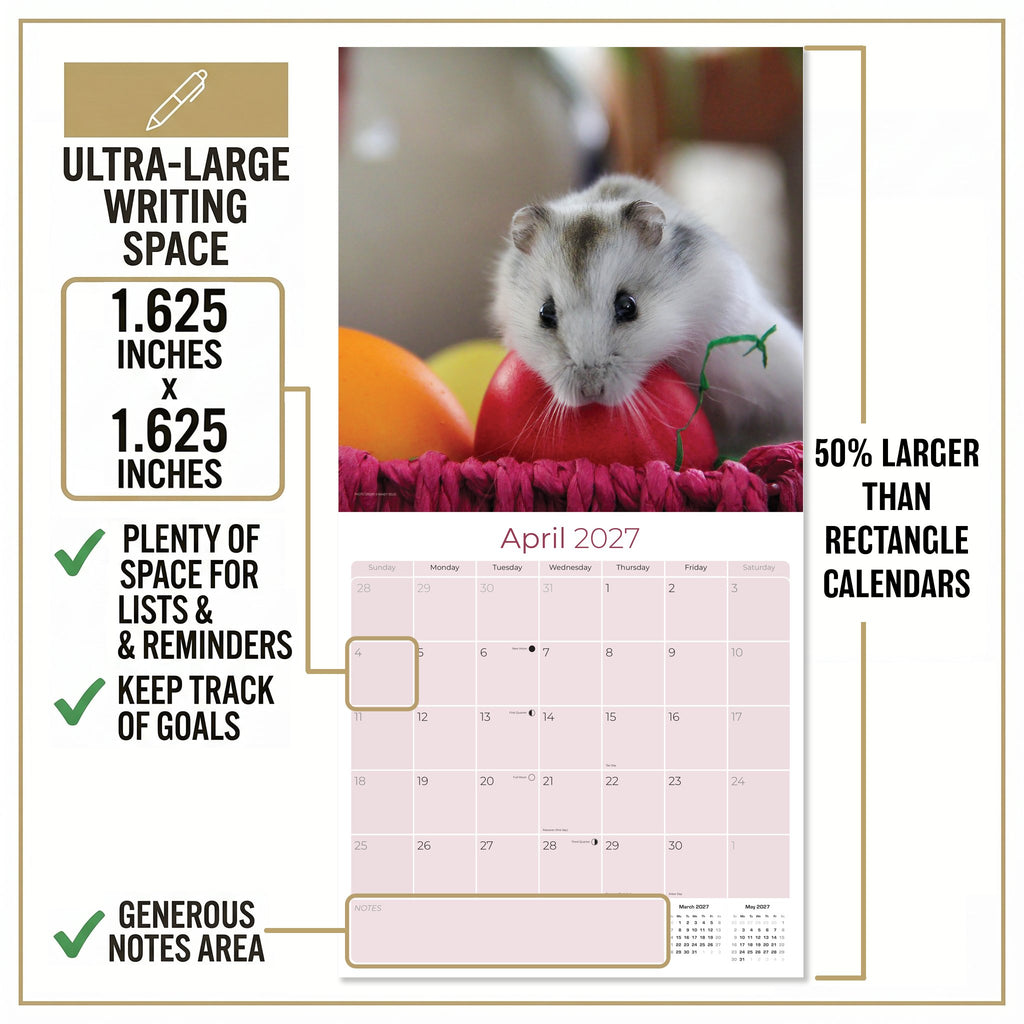 Hamsters Wall Calendar 2027 - 12" x 12" Monthly Cute Rodents & Precocious Pocket Pet Calendar