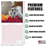 Hamsters Wall Calendar 2027 - 12" x 12" Monthly Cute Rodents & Precocious Pocket Pet Calendar