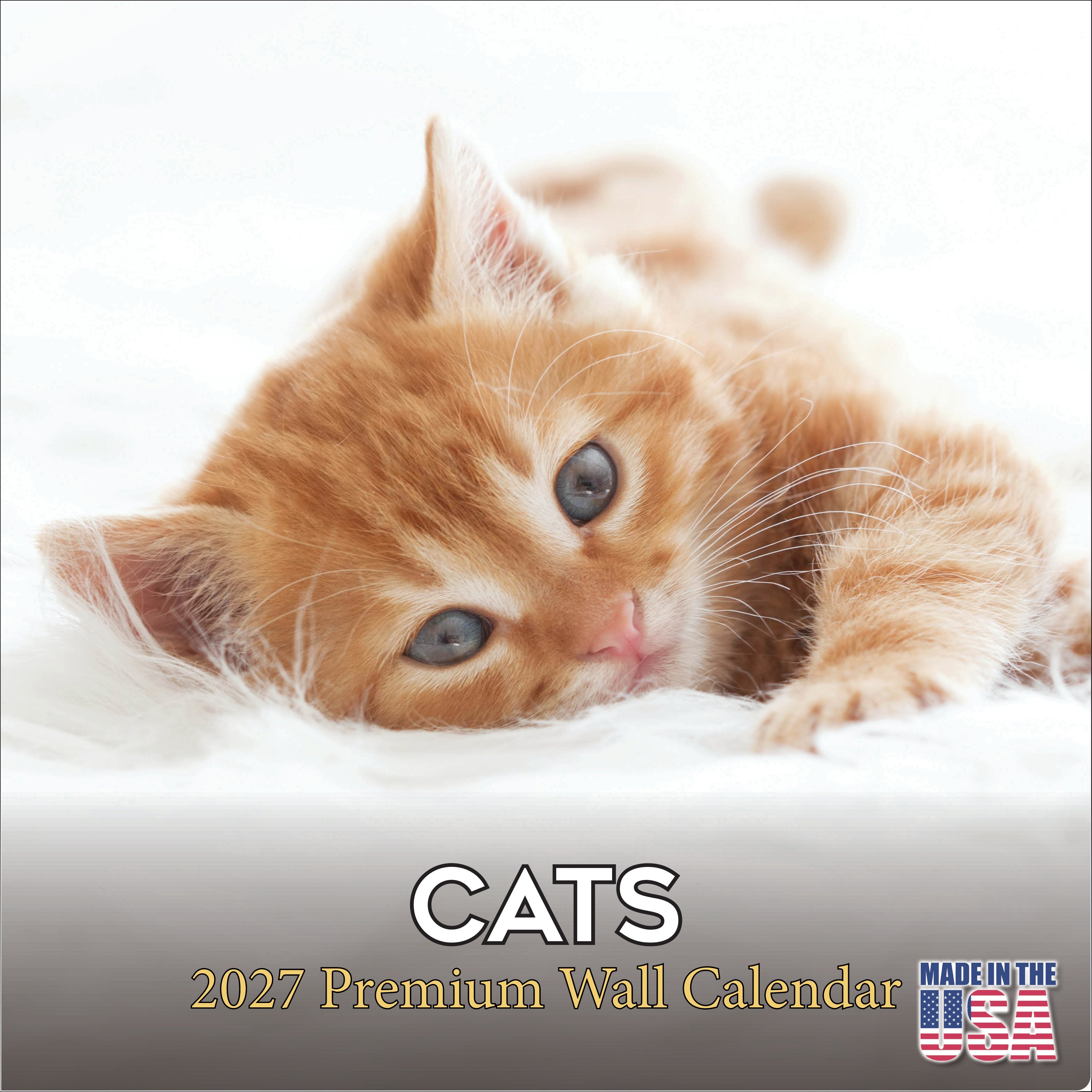 Cats Wall Calendar 2027 - 12